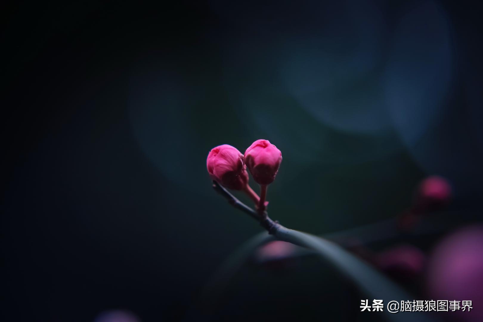 拍照如何确保对焦准确,拍照时对焦很难对上