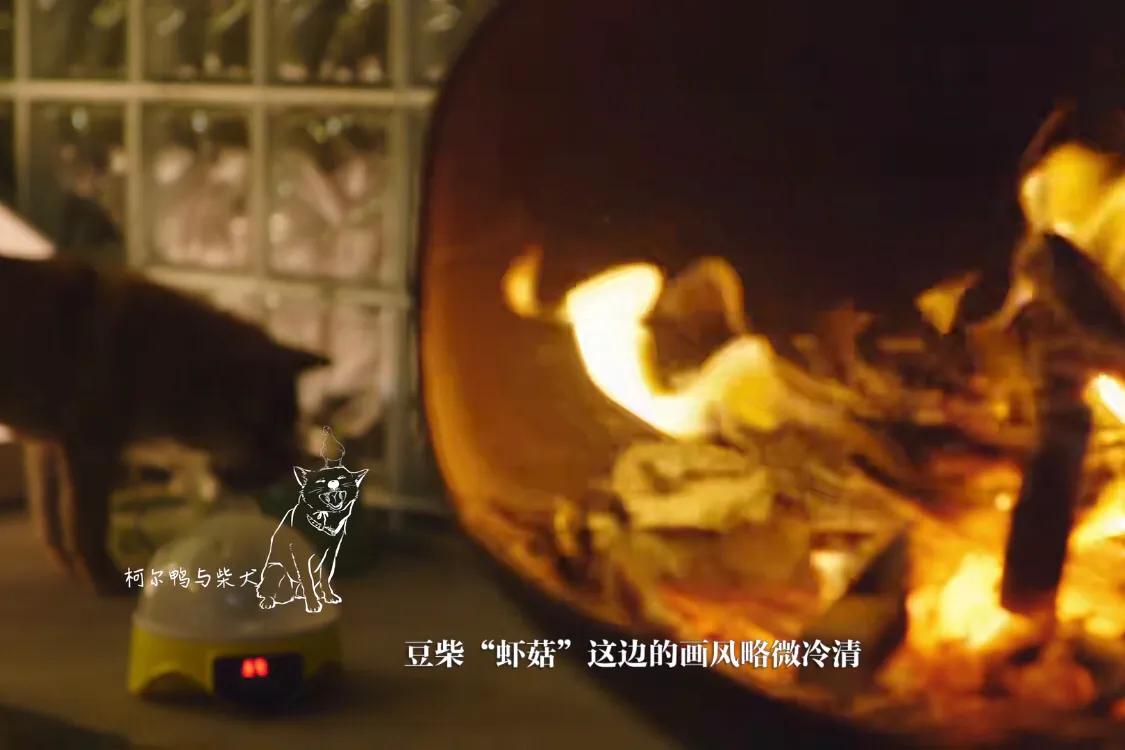 初来乍到请多安慰,初来乍到请多关照音频