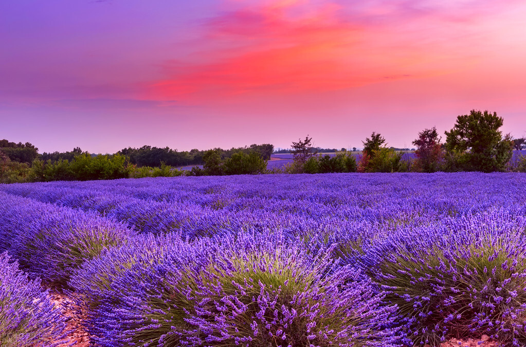 法国十大景点视频,法国的景点有哪些