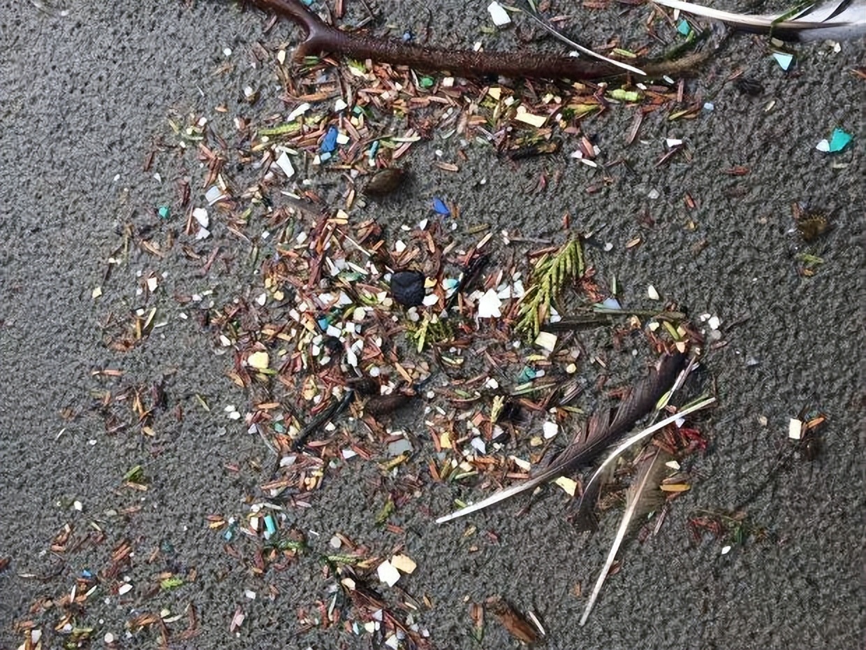 烟头300块钱一斤,烟头回收都做什么