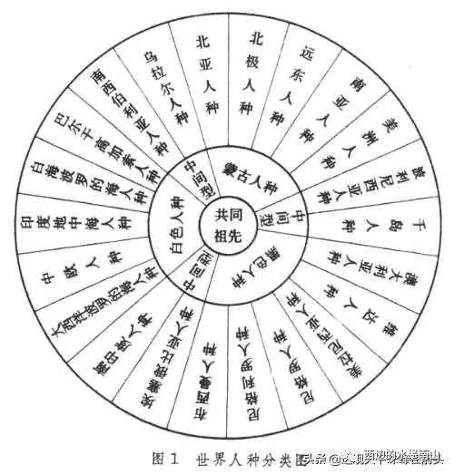 基因测序出结果了,基因测序结果有哪些