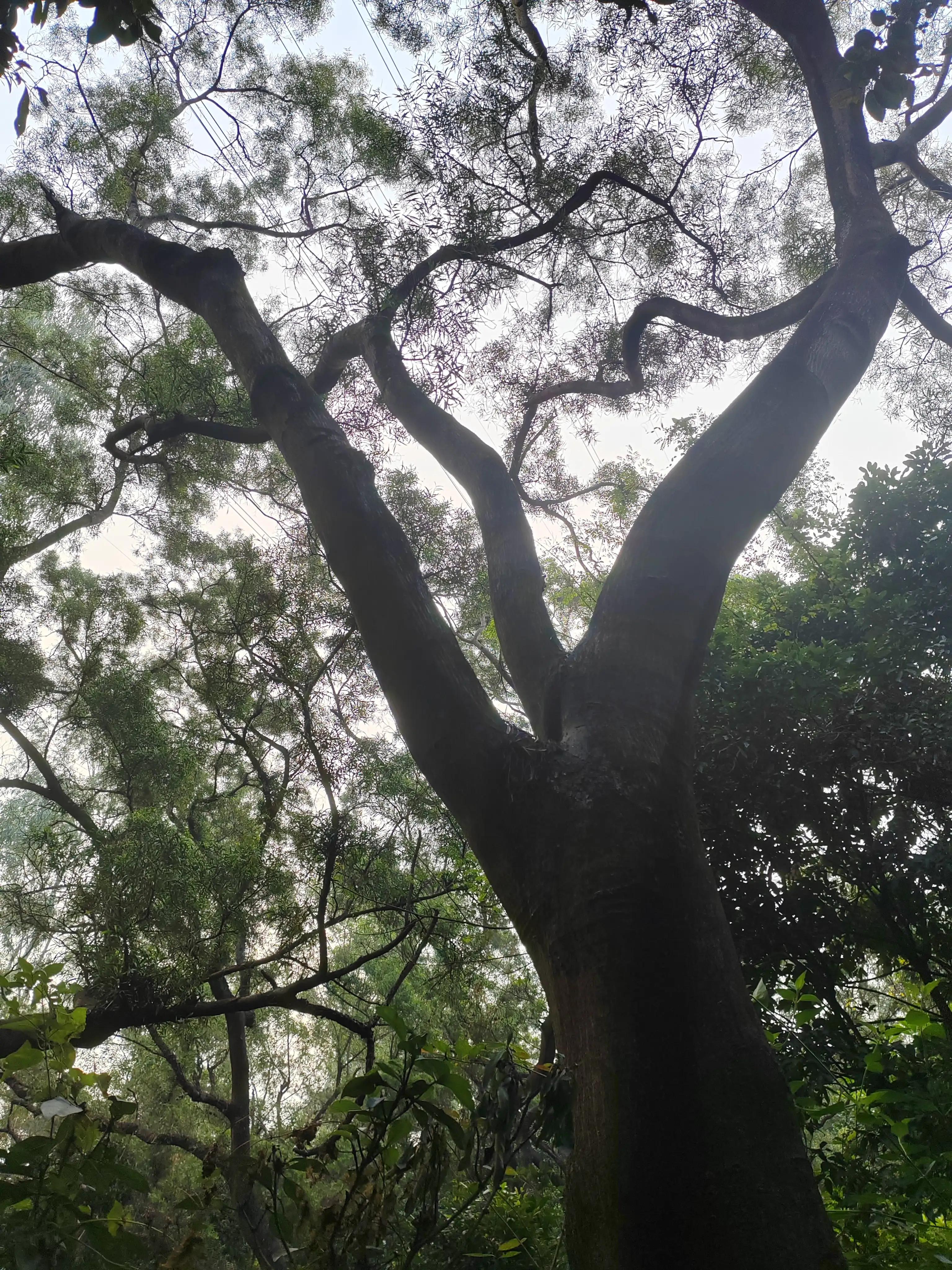 学习外贸跟单操作的收获,没经验怎么做外贸跟单赚钱