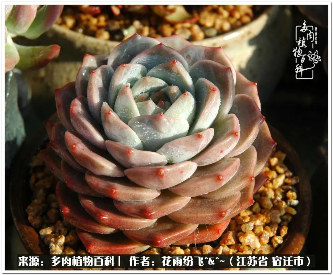 回味童年无忧无虑的快乐时光,童年最快乐的时光