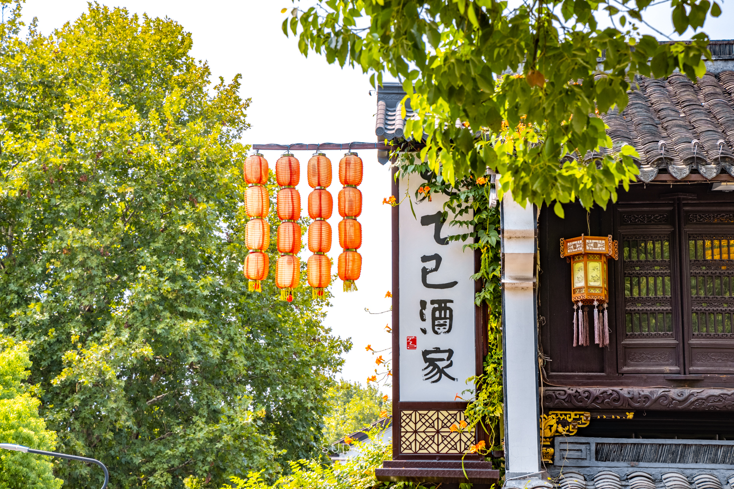 鲁迅孔乙己吃饭的饭店,绍兴鲁迅笔下的孔乙已酒店