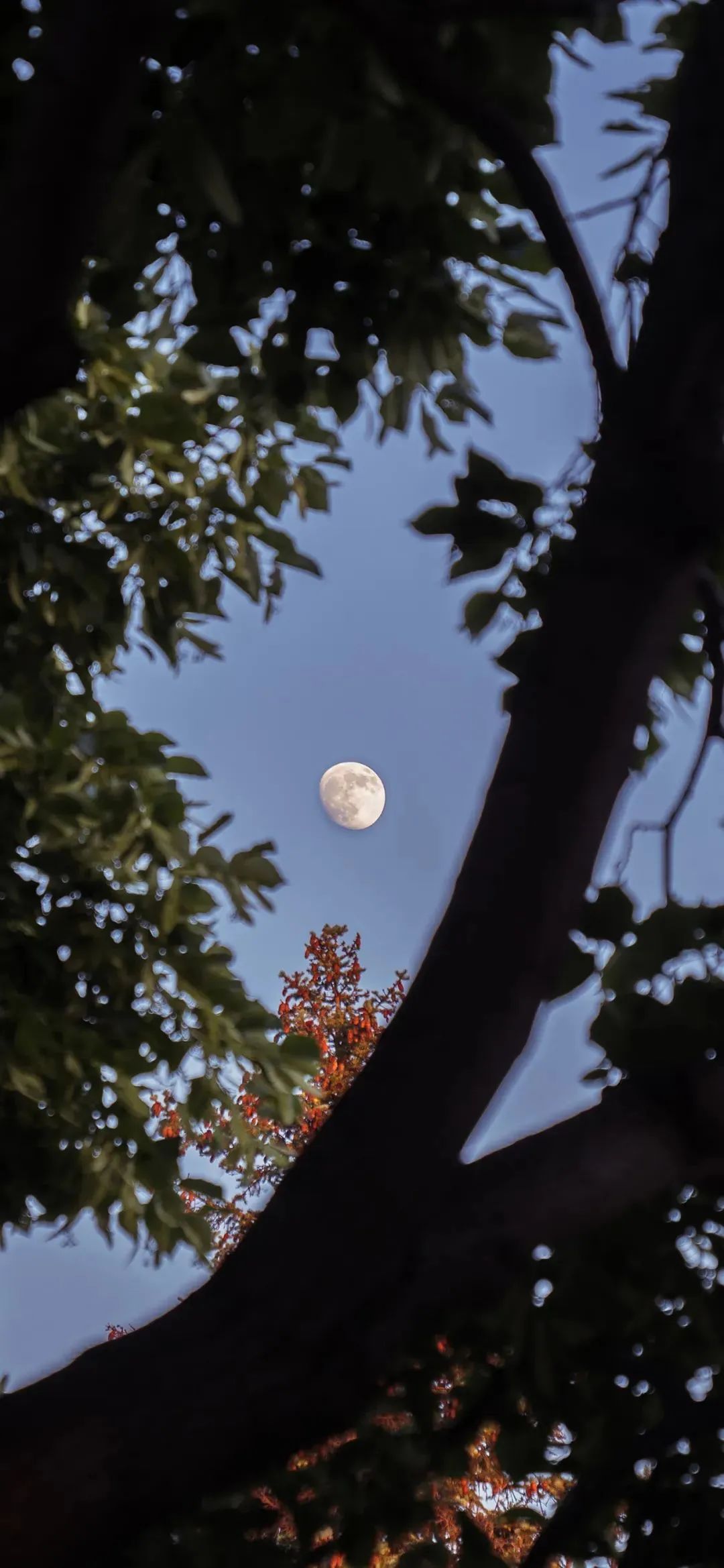 最新早安心语正能量短句,早安的问候语正能量句子励志图片