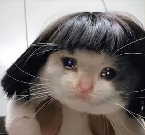 大量中国留学生在英遇电信诈骗,中国留学生被美国诈骗