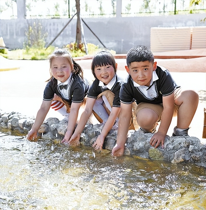 幼小衔接科学助成长,幼小科学衔接教育资源