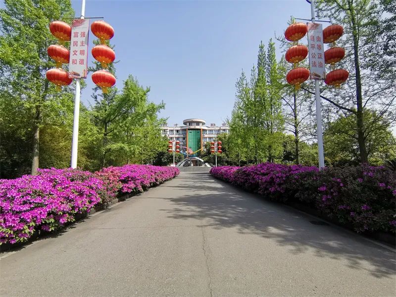 眉山市高中体育特长生招生,洪雅中学高中部招生条件