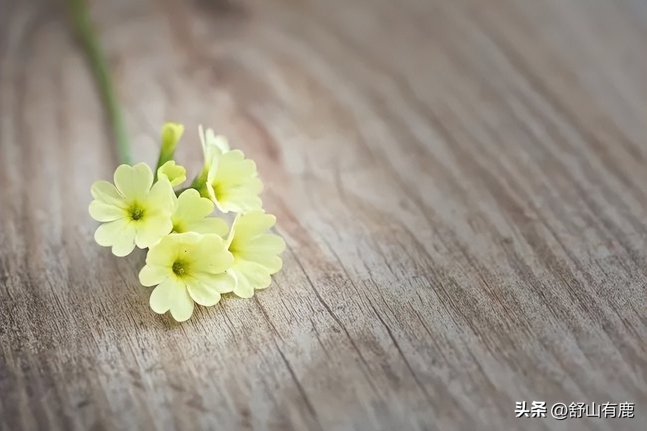最命苦的五种人,这5种人未来会越来越穷有你吗