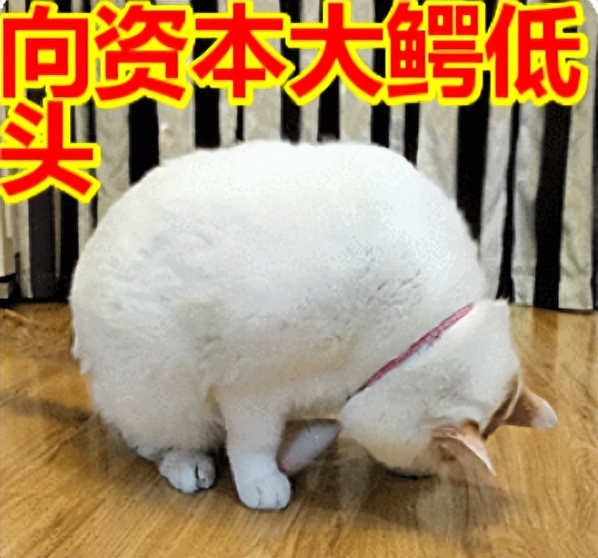 国产电视剧里面的穷人,国产剧里的穷人叫什么