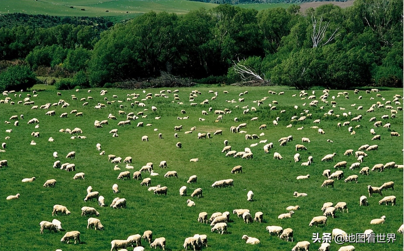 澳大利亚是一个什么样的国家呢,澳大利亚是一个什么样的特色国家
