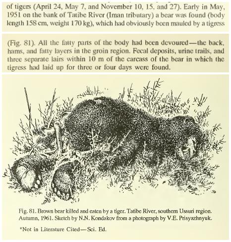 老虎和棕熊同等体重谁厉害,同等体型体重的老虎和狮子谁厉害