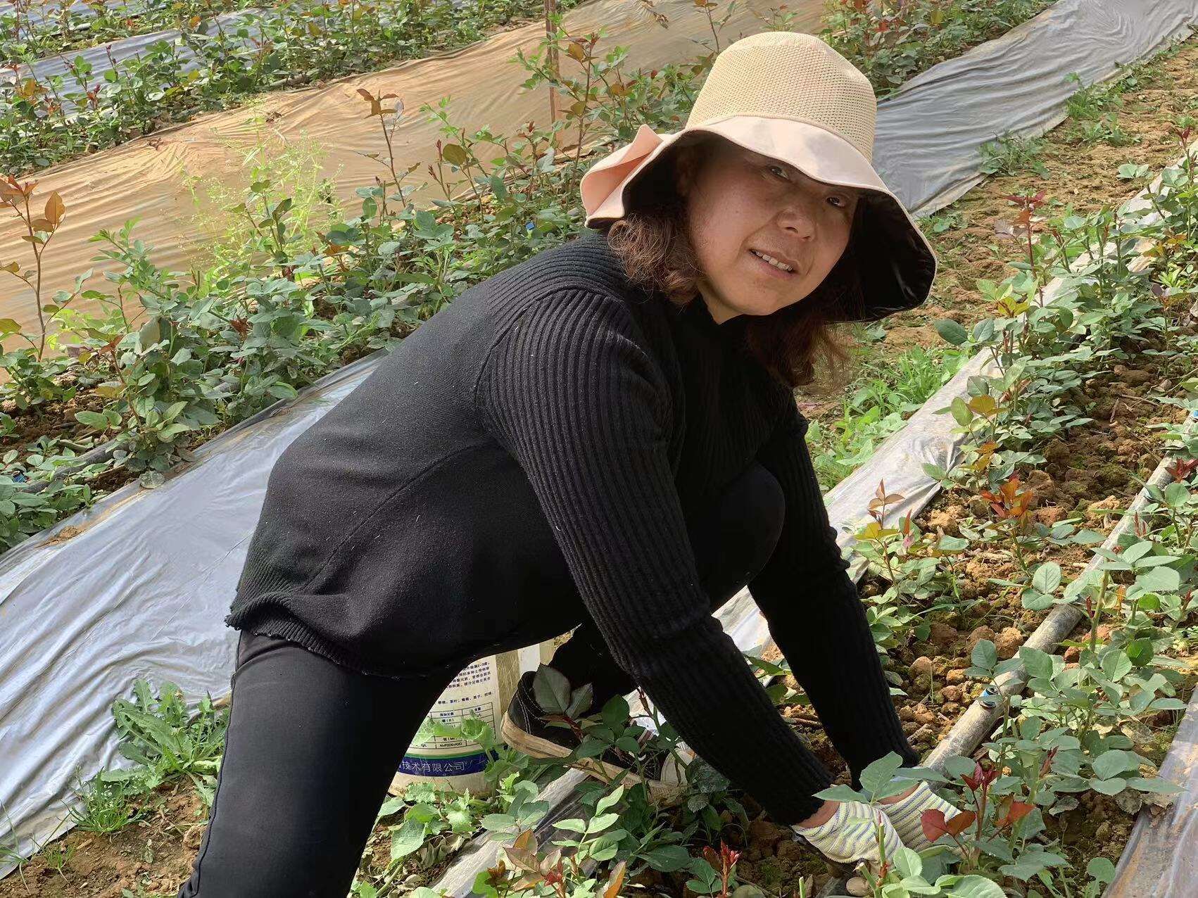 三八特刊|晋宁花农周玉莲:带领姐妹们一起做浪漫制造者