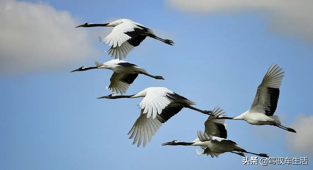 挑战极寒自驾游大兴安岭,大兴安岭金秋穿越之旅