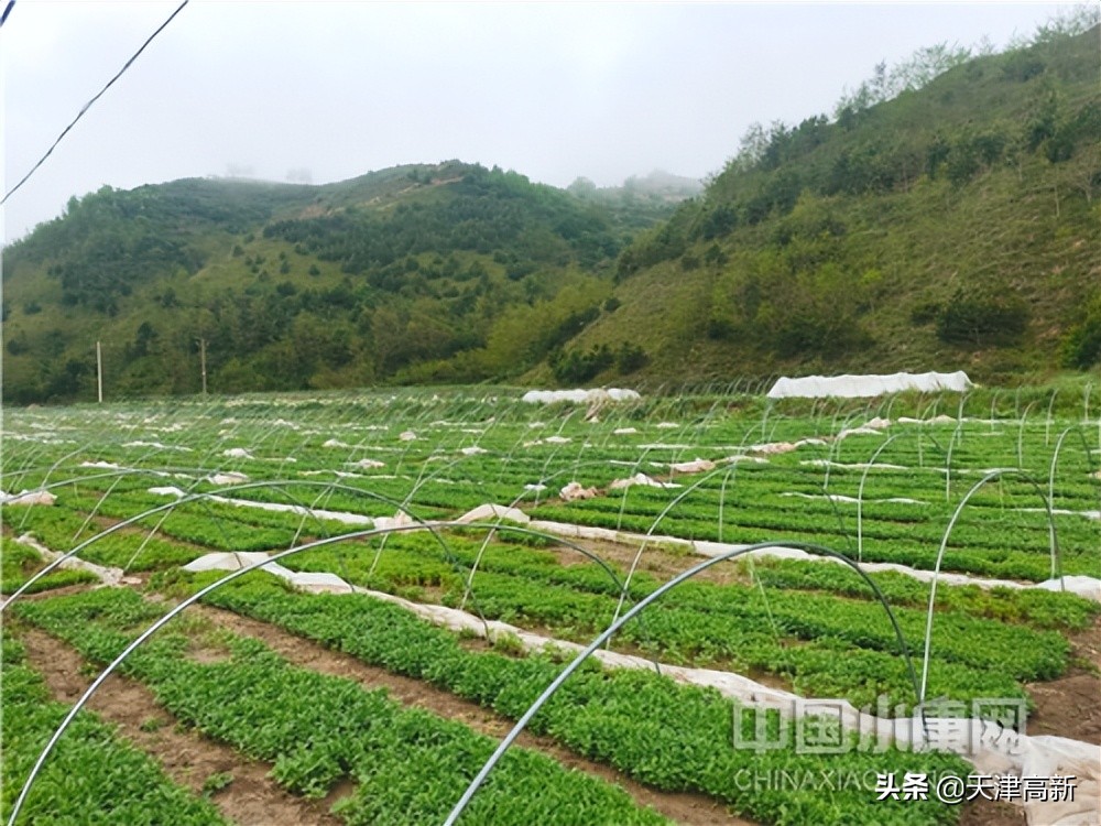 灏忔潙澶т簨鍏嶈垂闃呰,灏忔潙澶т簨