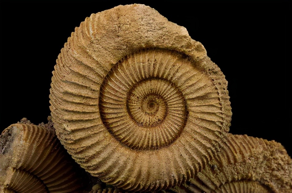 中国历史精简史,中国历史演变五千年图