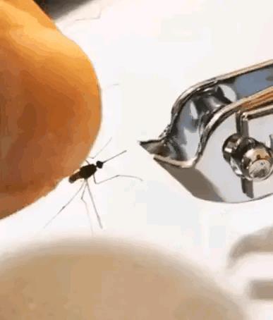 厕所所有隐藏彩蛋,厕所全部隐藏彩蛋