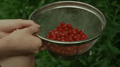 豆瓣9.0，日本乡间简素的一餐一饭，治好了无数人的“精神内耗”