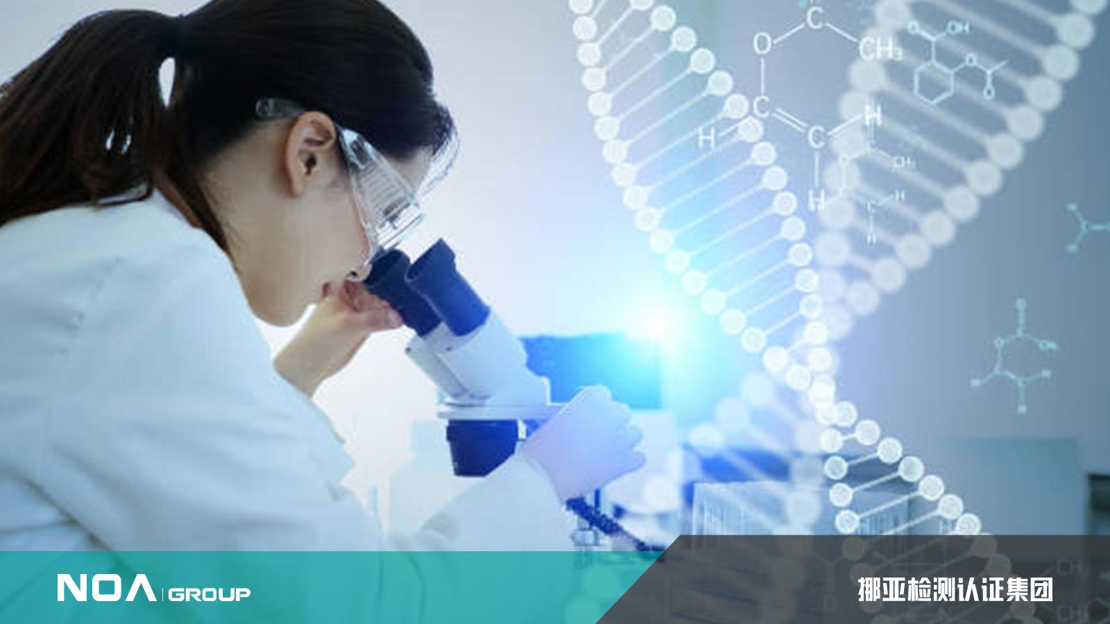 挪亚检测机构工作环境,上海挪亚检测机构