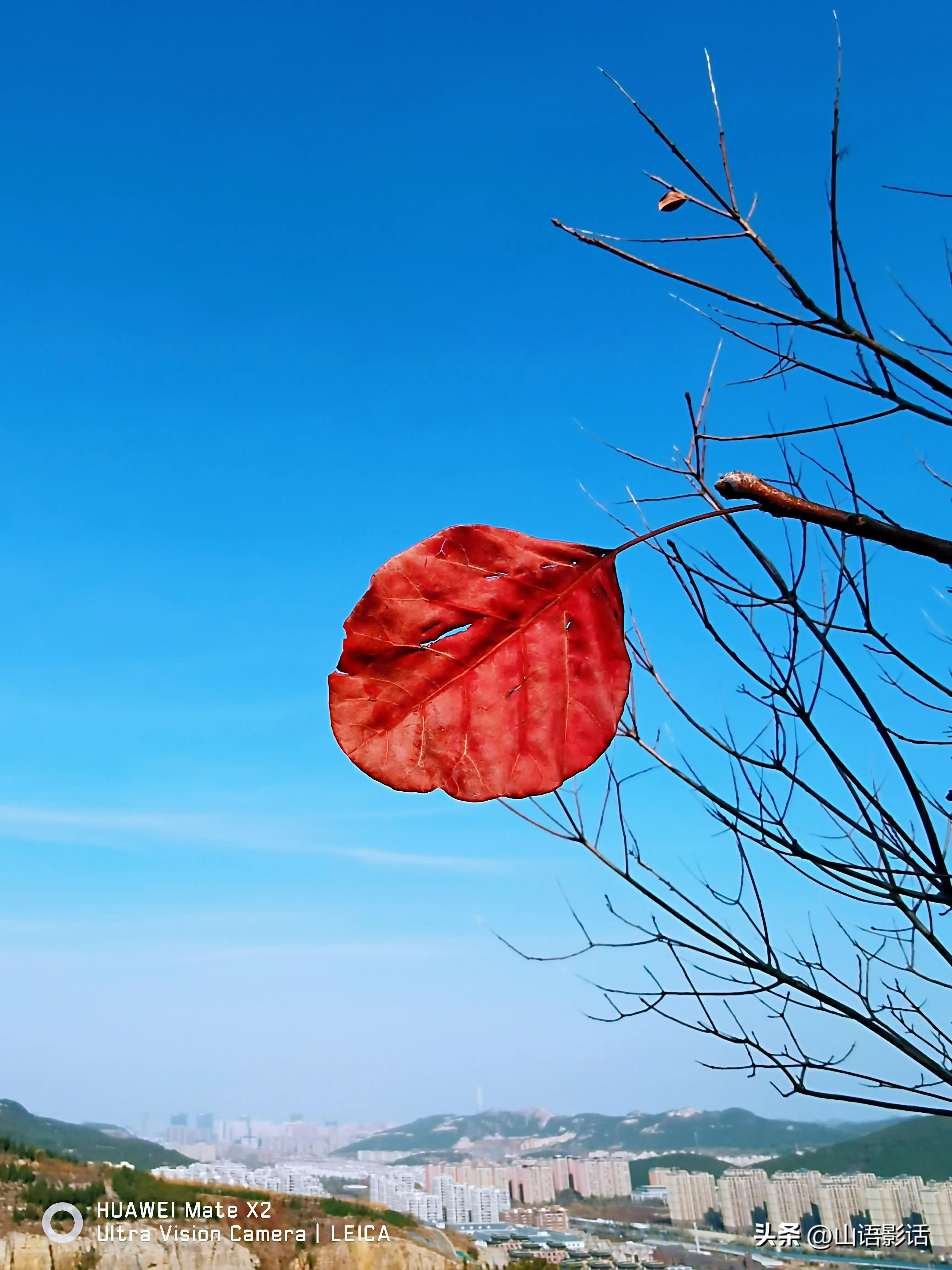 济南辟谣封城,济南是否封城