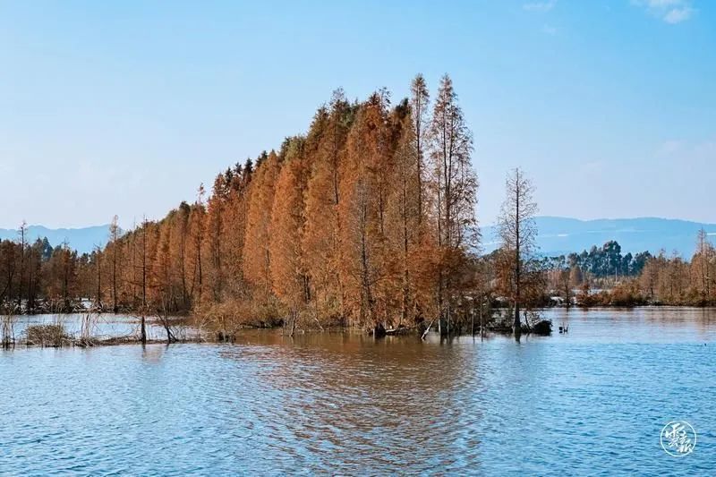 迈开脚步看风景别辜负昆明好风光,带你看云南昆明美景
