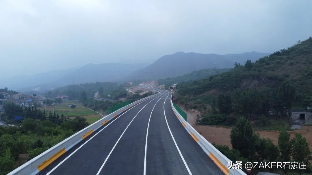 石家庄大熊猫贤贤还活着吗,大熊猫贤贤跟谁一起去石家庄