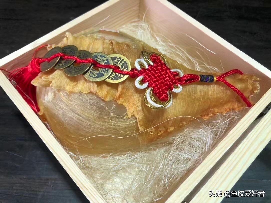 白花胶和赤嘴胶哪个好,白花胶和赤嘴胶比较