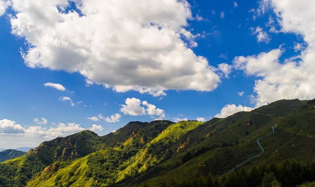享受阳光享受大自然天然氧吧,值得一去的天然森林氧吧