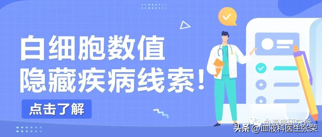 白细胞数偏高的临床意义,白细胞计数增高预示着什么
