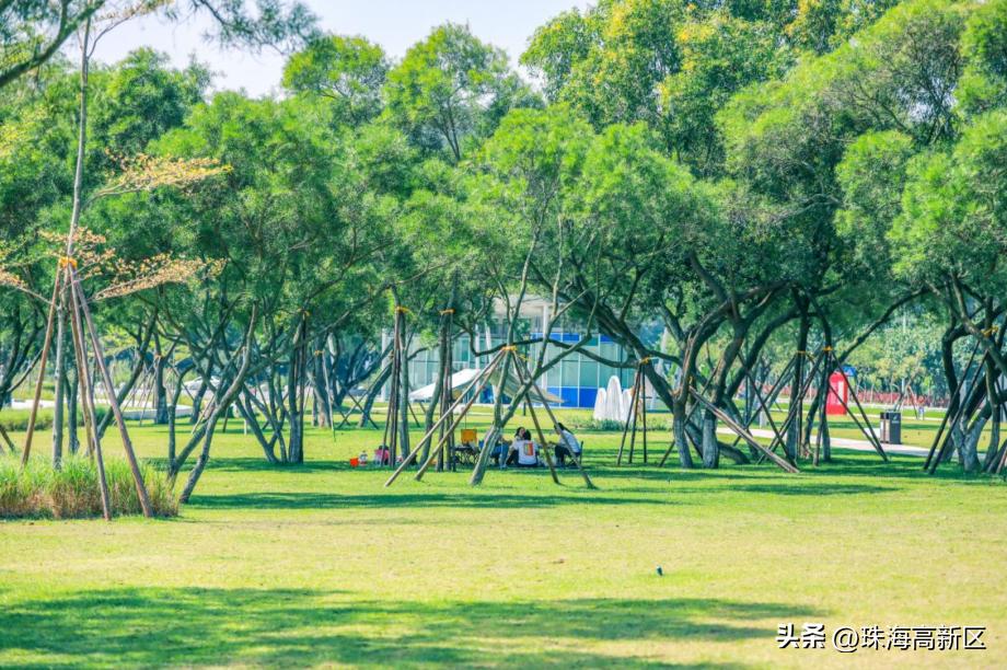 走一起看日出吧歌词,走一起去看日出吧舞蹈