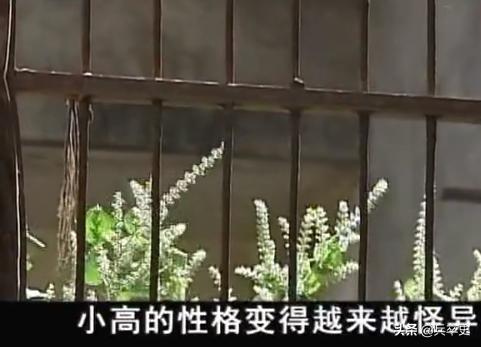 福建少年喝矿泉水变哑巴,2015年14岁小伙喝水变哑巴