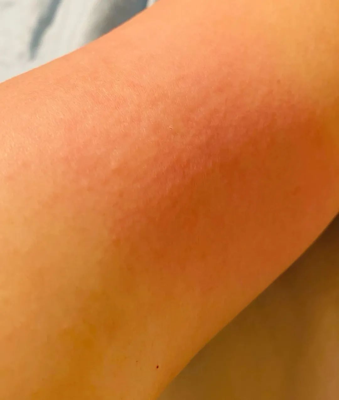 法式polo翻领长袖针织开衫,优雅女人开衫衣服