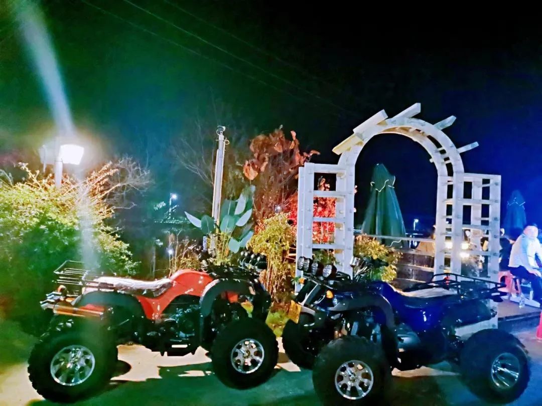 增城网红民宿别墅,增城最美花园亲子民宿