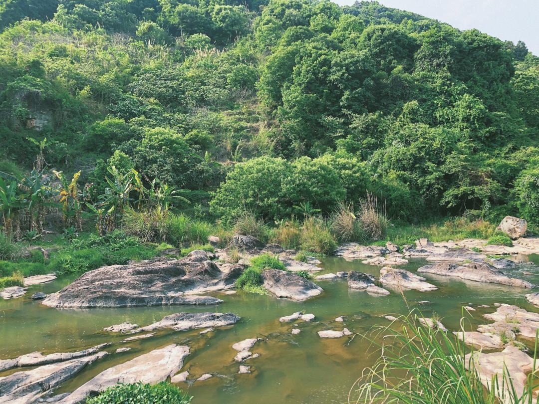 木兰风光好去处•达人带你去旅游|山环水绕清流如带——张洋村，一个藏在新县里的小村庄