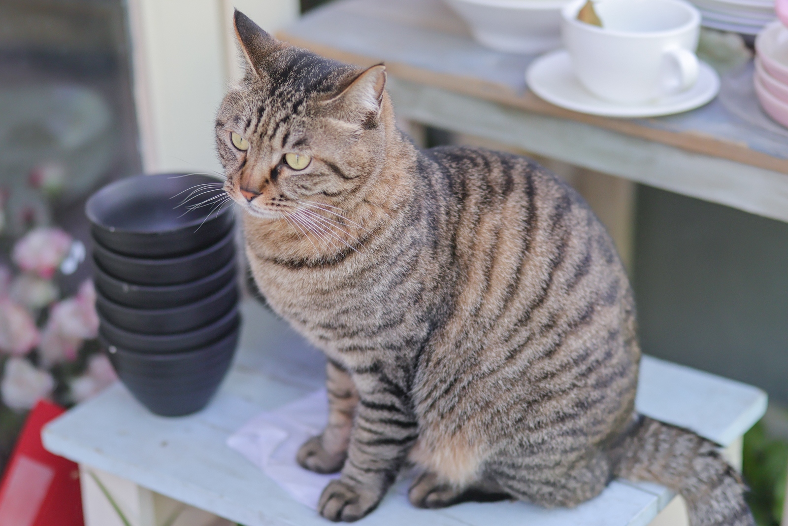 佳能eosr50详细介绍,佳能EosR50优缺点