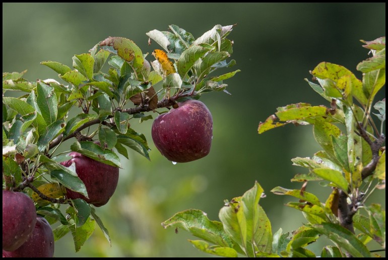 如何使用ai自动写作文,如何使用ai写论文