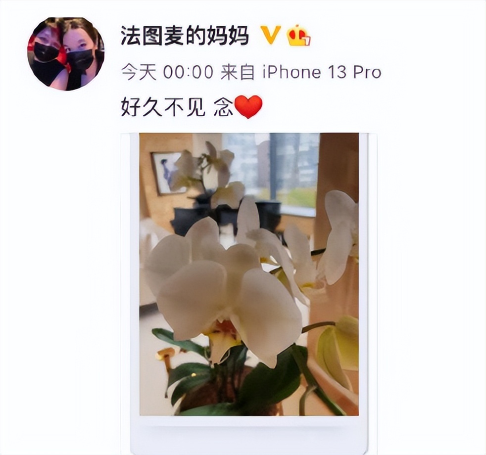 哈文为什么让赵本山上央视舞台,哈文和赵本山一段不为人知的故事