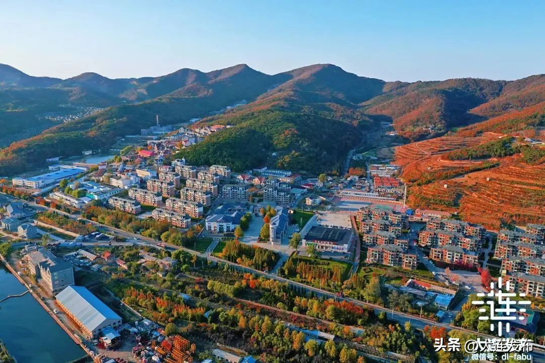 校园民生实事推进情况报告,关于推进城市口袋公园维护的提案