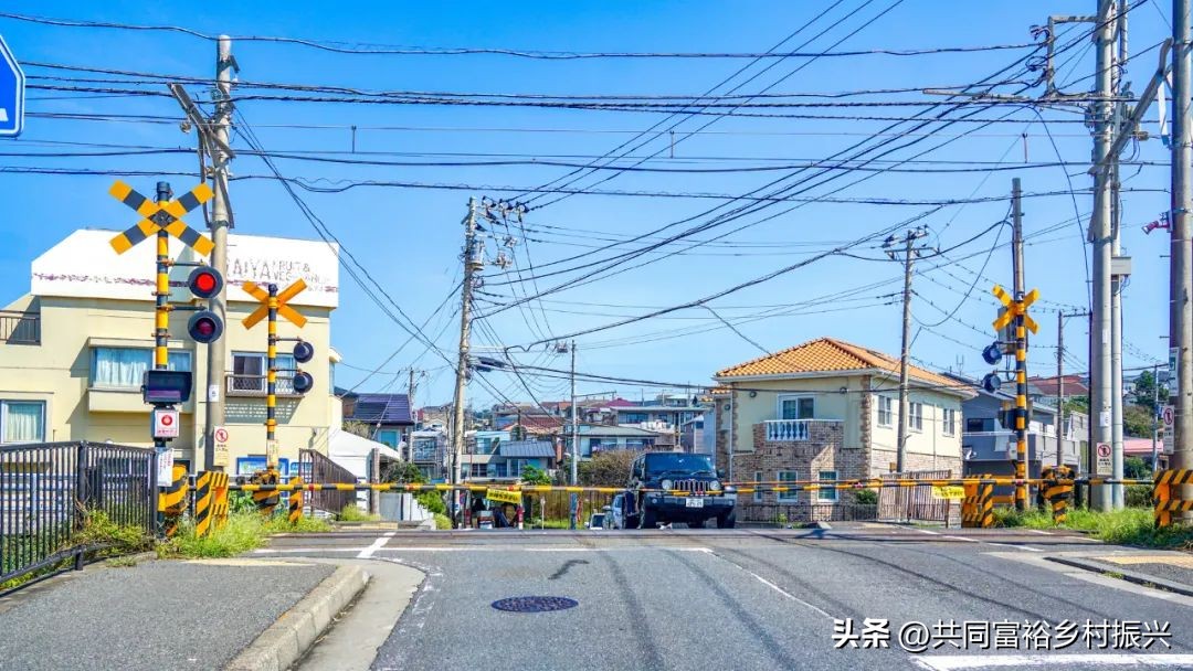 2023年全国乡村振兴优秀案例,乡村振兴典型案例5000字材料