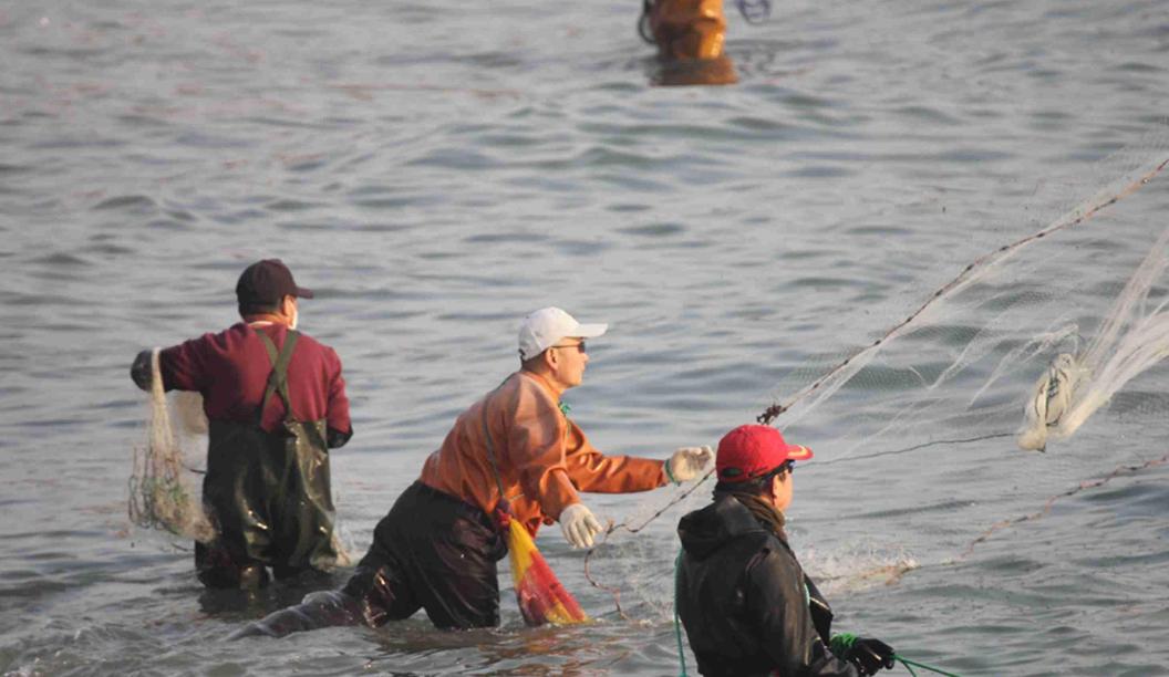 怎么撒网捕大鱼视频,三人撒网捕获大鱼