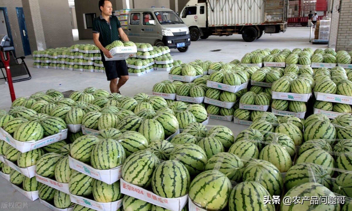 深圳福田农产品批发市场有水产吗,深圳福田农产品批发市场水果