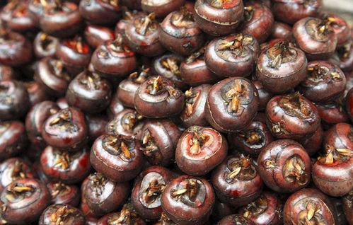 这7种食物对肺有好处记得多吃,润肺止咳这5种食物来护驾