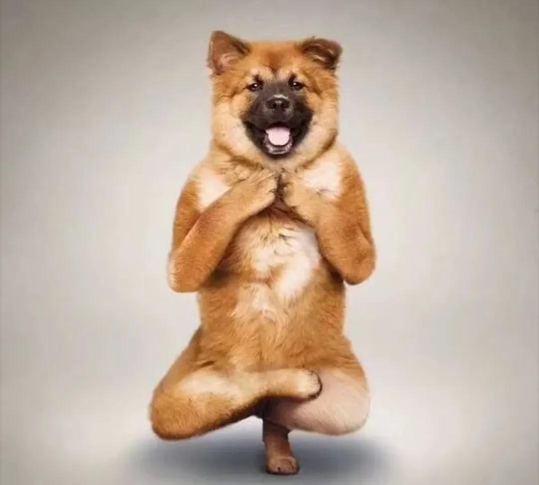 回族不吃猪肉,满族不吃狗肉,古代汉族也有不吃的肉