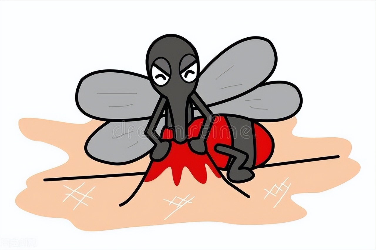 被蚊子咬了口水止痒有用吗,蚊子包涂口水有什么危害