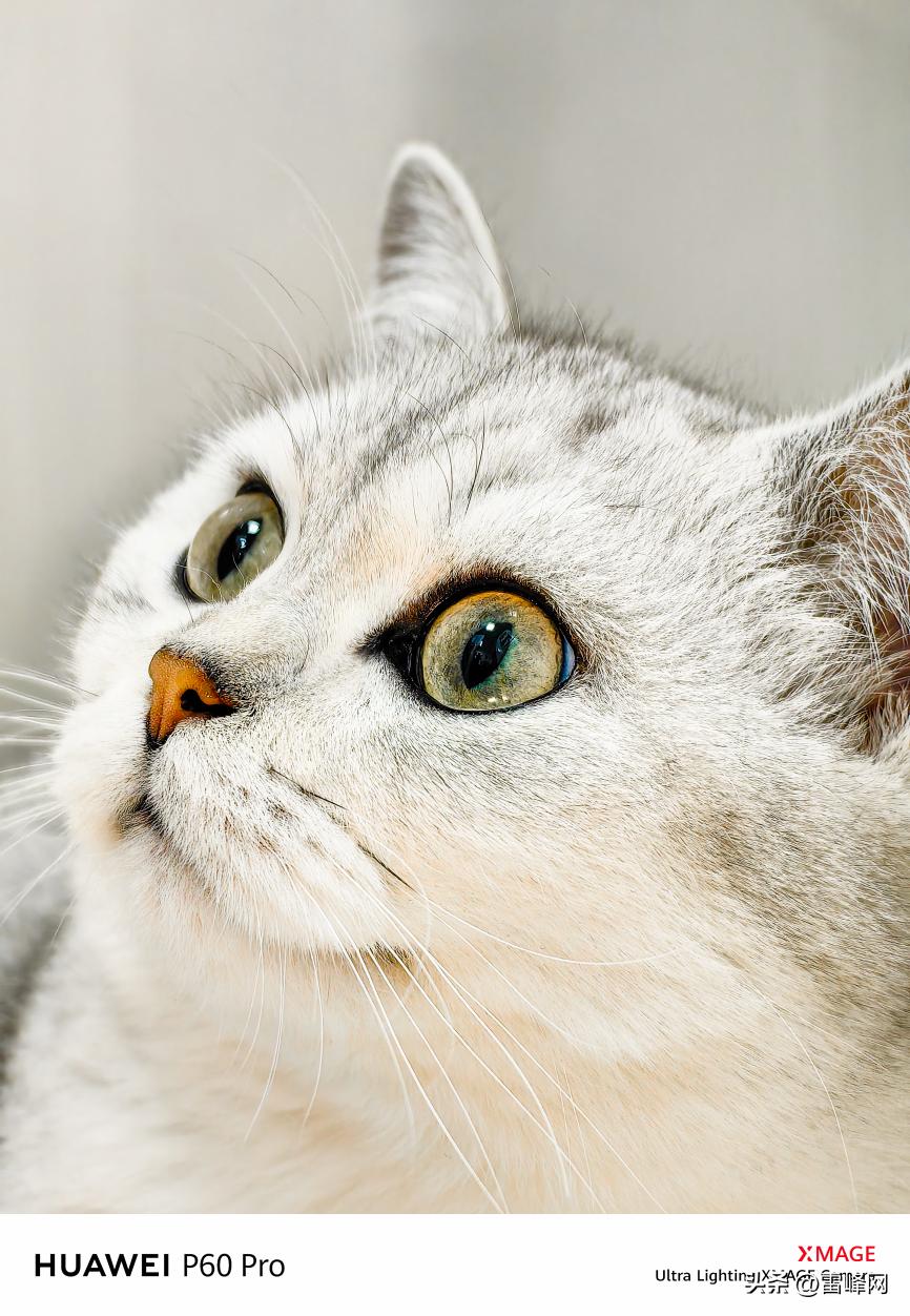 华为p60prodxomark拍照评分第一,华为p60pro的拍照媒体评分