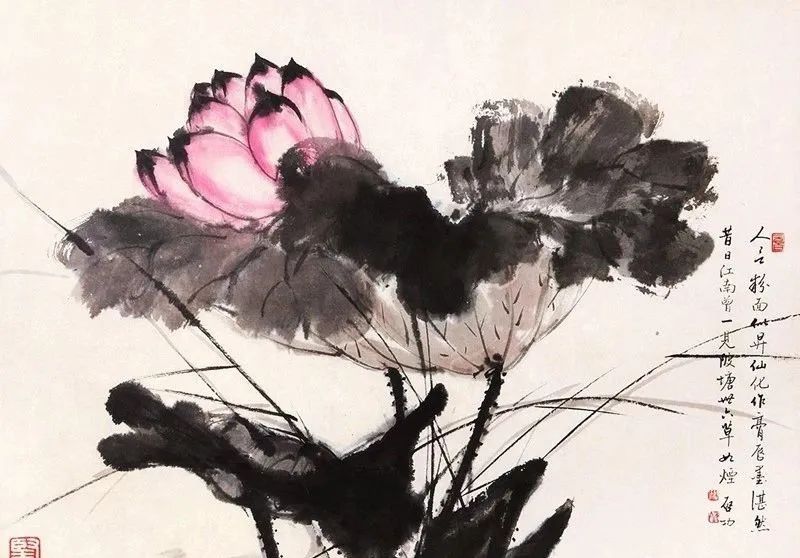 启功荷花作品欣赏,启功《荷上花帖》