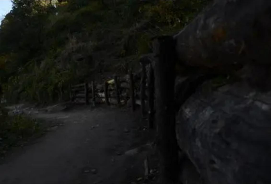 在日本当黑户的丁尚彪,在日本打黑工的老丁