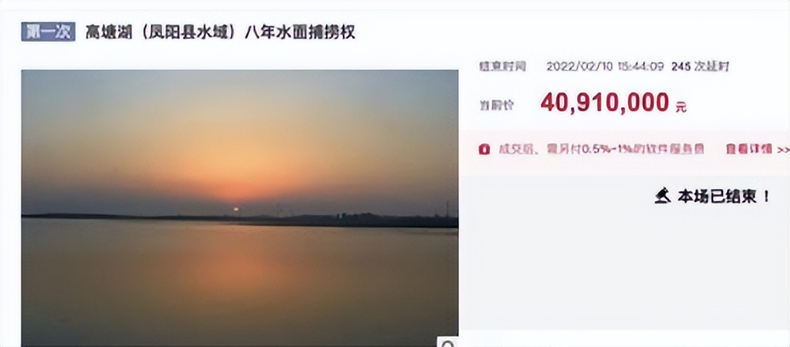 闲鱼捡漏怎样不被坑,新手玩闲鱼千万别把闲鱼想得太难