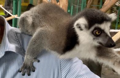 大无语事件！268元买了哈尔滨极地公园亲子票，被路人追着问了三条街！