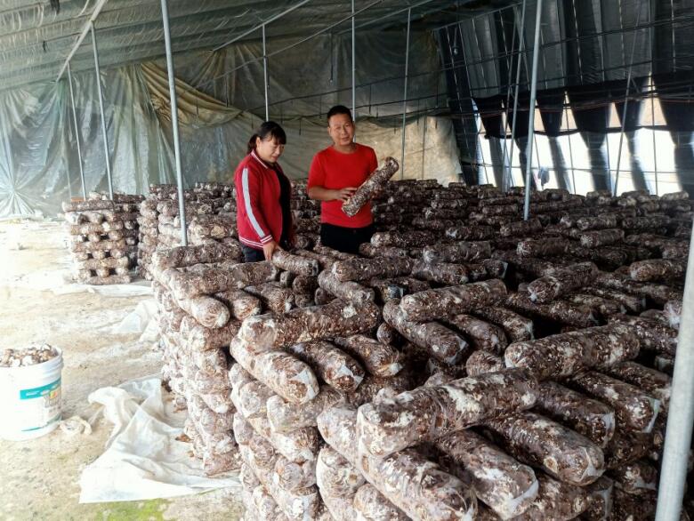 中和农信助农计划,中和农信您创业路上的小帮手